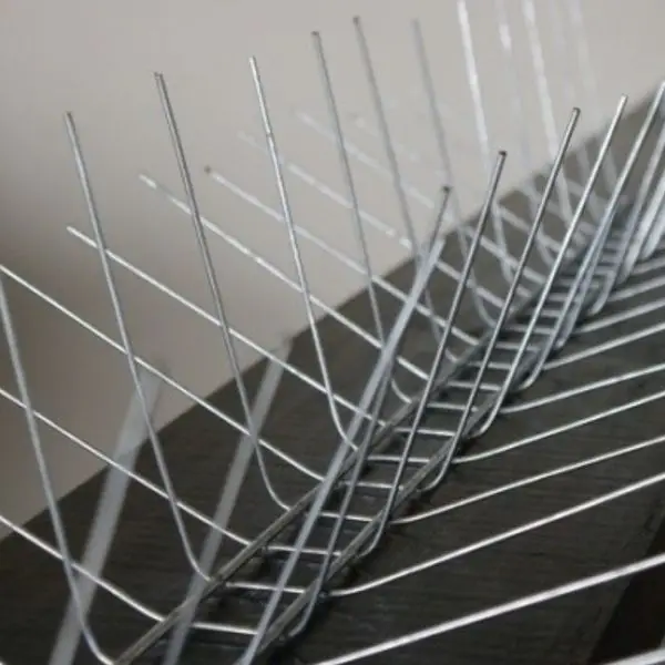 Instalación de pinchos, repelentes de palomas